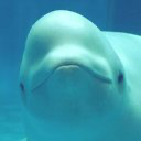 ヒナタろう