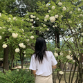 Always【BGM】