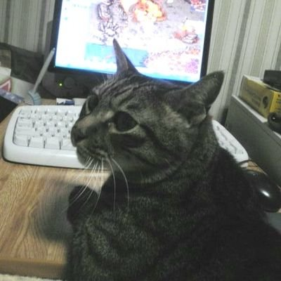 ぽな