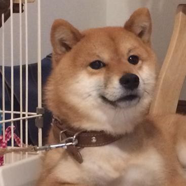 ゆきと