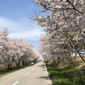 花　すべての人の心に花を