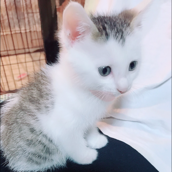釉音♡