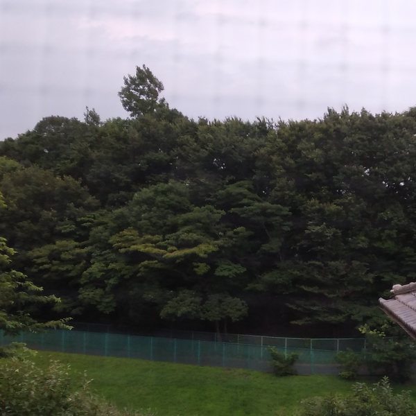 エバンス(ゲイル運転中)
