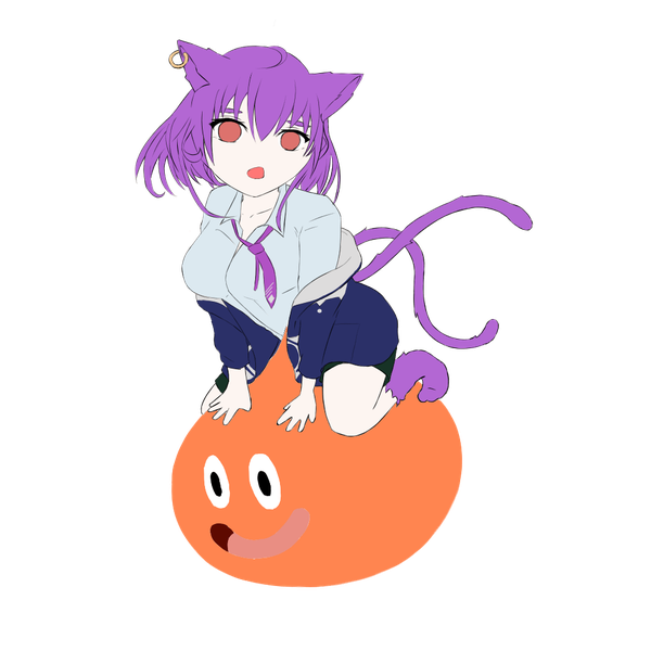 miomio猫