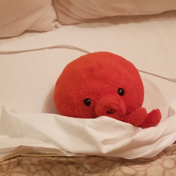 うたこの脚