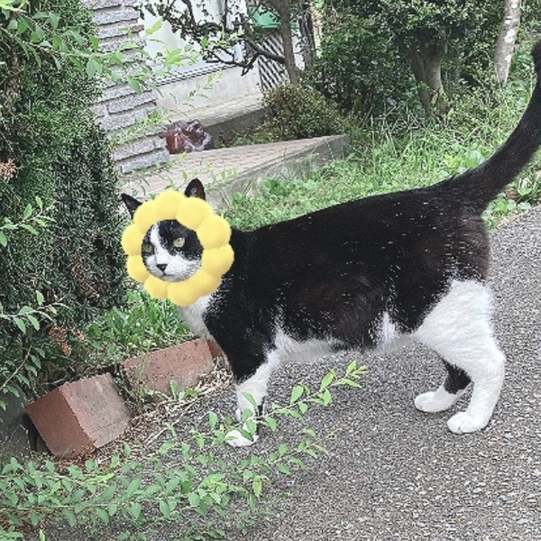 ねま