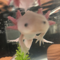 涙をこえて ［伴奏］