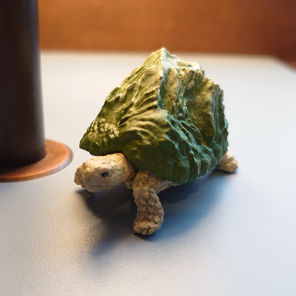 くもM🐢@身近な科学・学びを遊びに