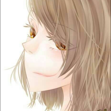 チョコ枝