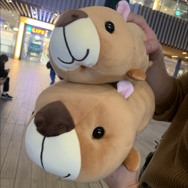 カピごん