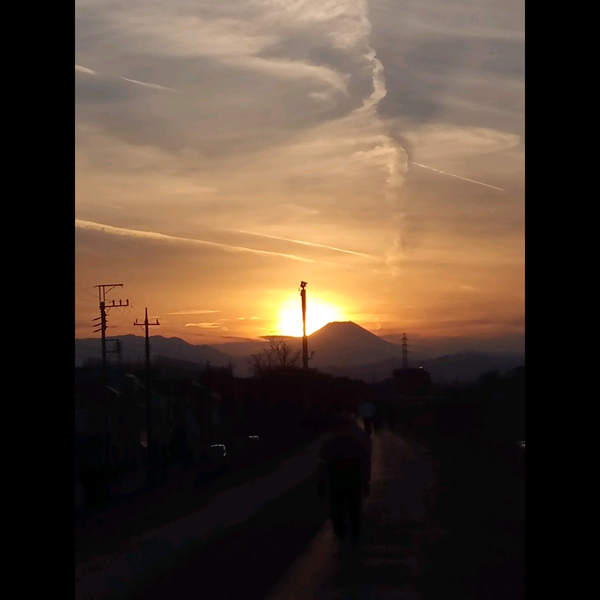 japan-tama