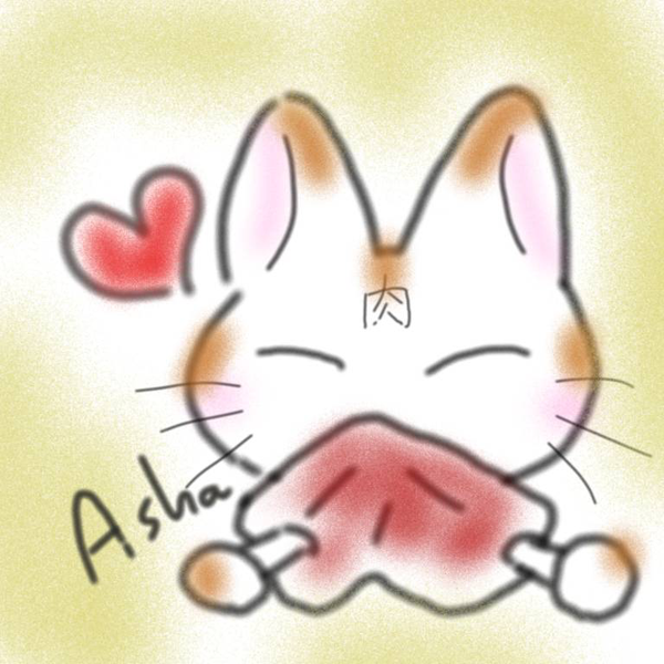 Asha🐻‍
