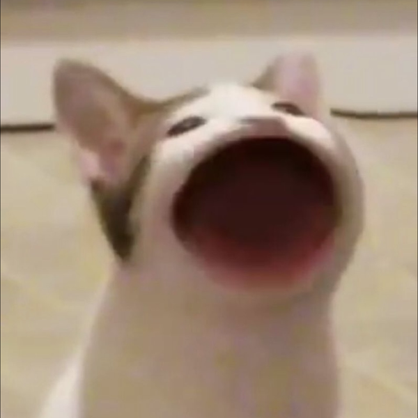 あの子じゃないよ。