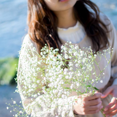 みずき